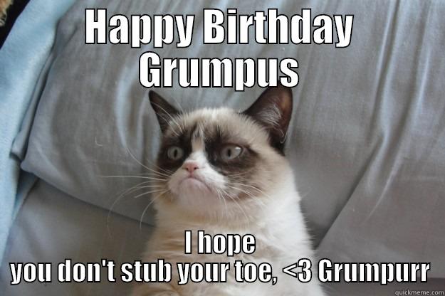 HAPPY BIRTHDAY GRUMPUS I HOPE YOU DON'T STUB YOUR TOE, <3 GRUMPURR Grumpy Cat