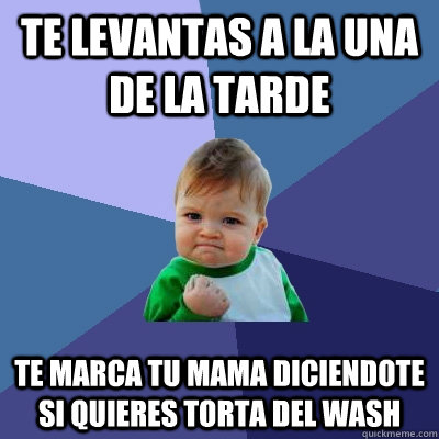 TE levantas a la una de la tarde te marca tu mama diciendote si quieres torta del wash  Success Kid