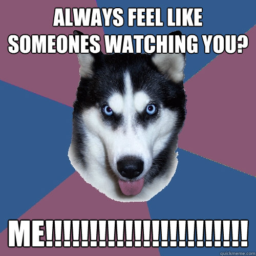 Always feel like someones watching you? ME!!!!!!!!!!!!!!!!!!!!!!!  Creeper Canine