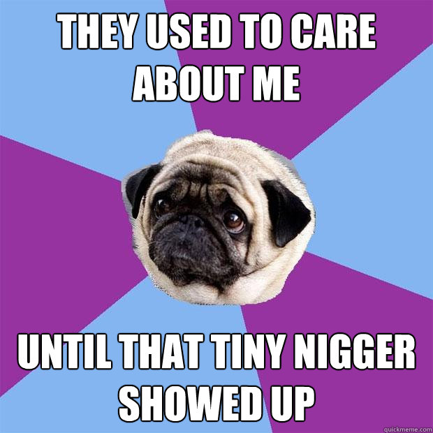 They used to care about me until that tiny nigger showed up - They used to care about me until that tiny nigger showed up  Lonely Pug