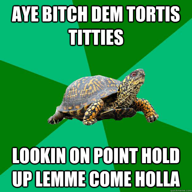 aye bitch dem tortis titties lookin on point hold up lemme come holla  Torrenting Turtle