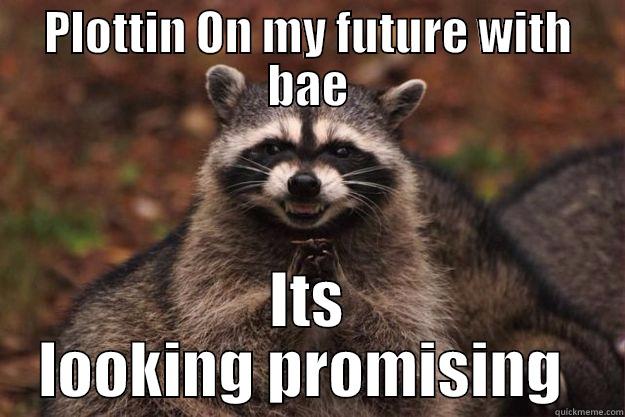 PLOTTIN ON MY FUTURE WITH BAE ITS LOOKING PROMISING  Evil Plotting Raccoon