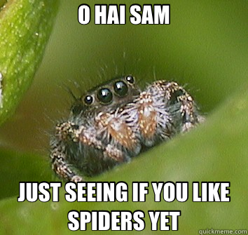 O HAI SAM JUST SEEING IF YOU LIKE SPIDERS YET  Misunderstood Spider