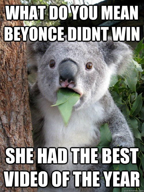 what do you mean Beyonce Didnt WIn She had the best video of the year  koala bear