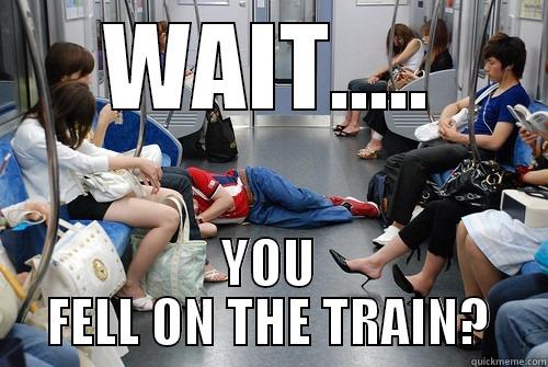 WAIT..... YOU FELL ON THE TRAIN? Misc