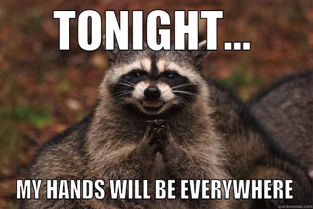 TONIGHT... MY HANDS WILL BE EVERYWHERE Evil Plotting Raccoon