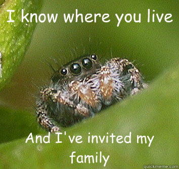 I know where you live And I've invited my family  Misunderstood Spider