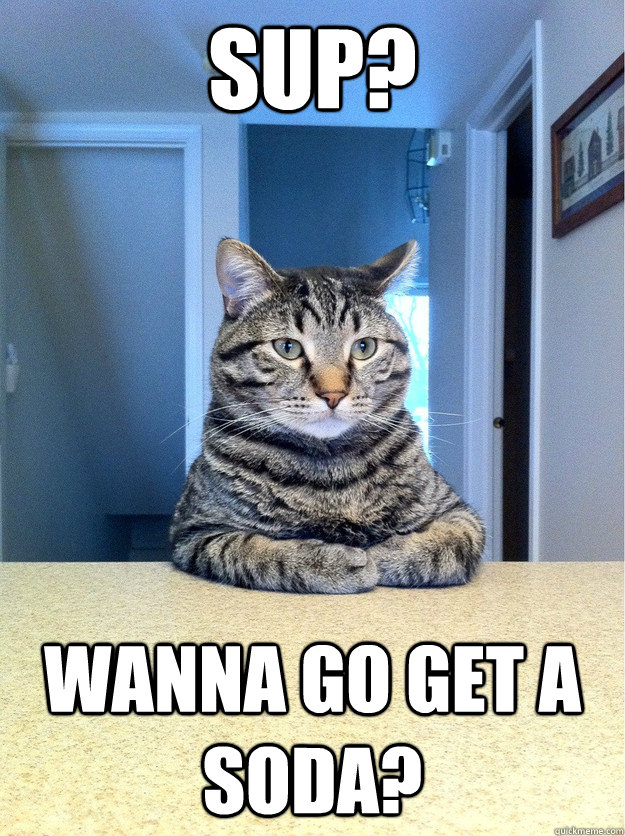 sup? wanna go get a soda?  Chris Hansen Cat