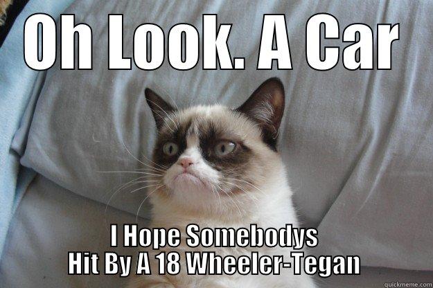 Hit By Car! - OH LOOK. A CAR I HOPE SOMEBODYS HIT BY A 18 WHEELER-TEGAN Grumpy Cat