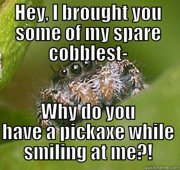 MineSpider Loves You - HEY, I BROUGHT YOU SOME OF MY SPARE COBBLEST- WHY DO YOU HAVE A PICKAXE WHILE SMILING AT ME?! Misunderstood Spider