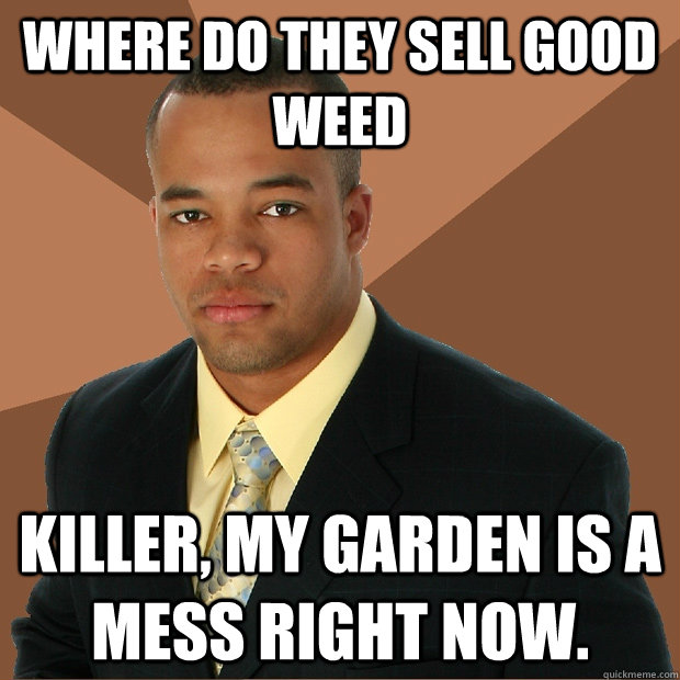 Where do they sell good weed killer, my garden is a mess right now.  Successful Black Man