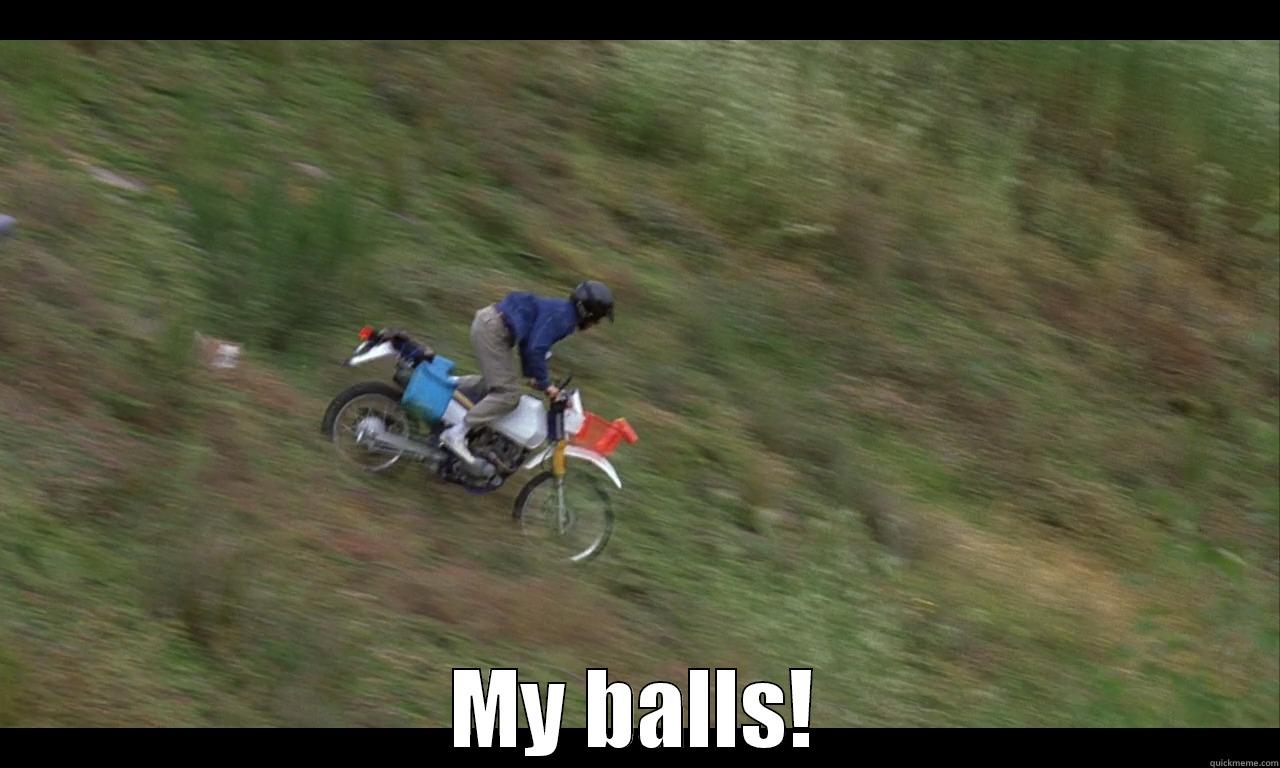 my balls -  MY BALLS! Misc