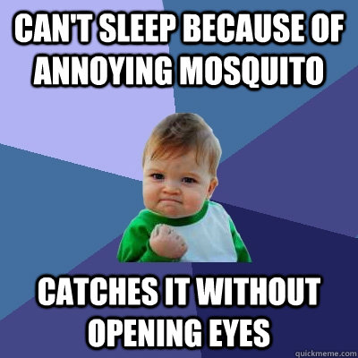 Can't sleep because of annoying mosquito Catches it without opening eyes  Success Kid