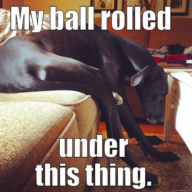 dog sad - MY BALL ROLLED  UNDER THIS THING. Misc