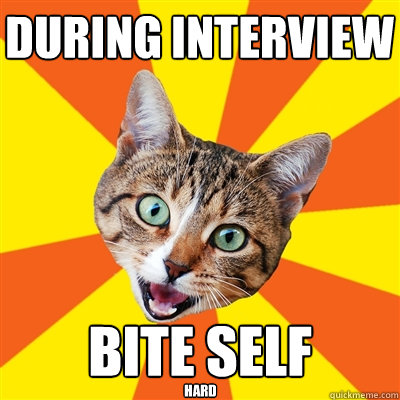 During interview bite self hard  Bad Advice Cat