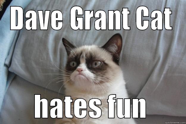 Dave Grant Cat - DAVE GRANT CAT HATES FUN Grumpy Cat