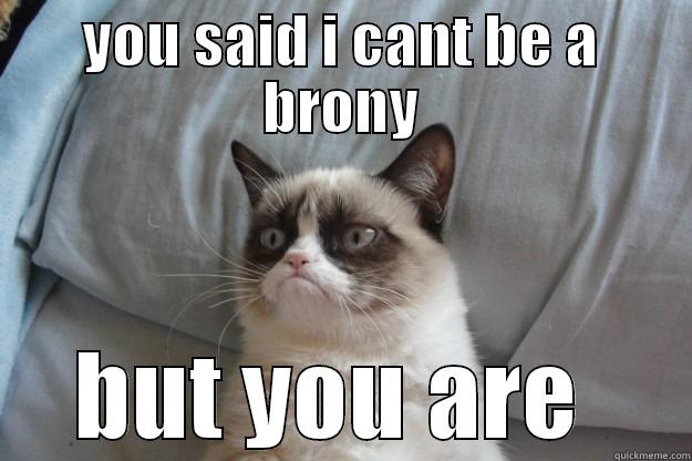 YOU SAID I CANT BE A BRONY BUT YOU ARE  Grumpy Cat