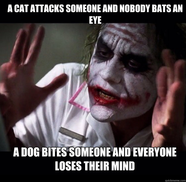 A cat attacks someone and nobody bats an eye A dog bites someone and everyone loses their mind - A cat attacks someone and nobody bats an eye A dog bites someone and everyone loses their mind  joker