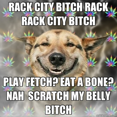 RACK CITY BITCH RACK RACK CITY BITCH PLAY FETCH? EAT A BONE? NAH  SCRATCH MY BELLY BITCH  Stoner Dog