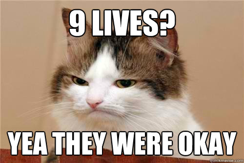 9 lives? Yea they were Okay  Indifferent Cat