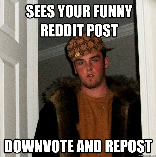 sees your funny reddit post downvote and repost  Scumbag Steve