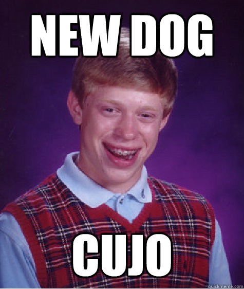 New dog Cujo  Bad Luck Brian