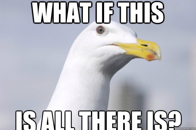 what if this is all there is?  Existential Seagull
