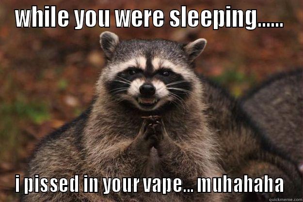 WHILE YOU WERE SLEEPING...... I PISSED IN YOUR VAPE... MUHAHAHA Evil Plotting Raccoon