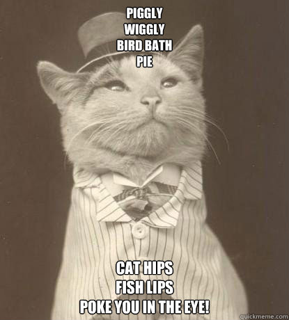 Piggly
Wiggly
Bird bath
Pie Cat hips
fish lips
Poke you in the eye!  Aristocat