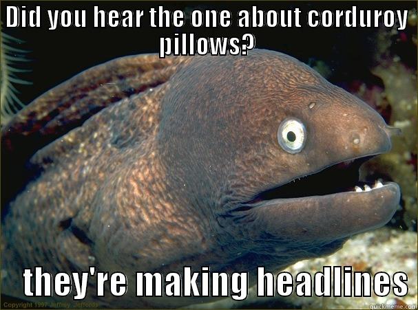 DID YOU HEAR THE ONE ABOUT CORDUROY PILLOWS?     THEY'RE MAKING HEADLINES Bad Joke Eel