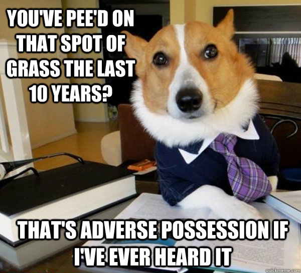 You've pee'd on that spot of grass the last 10 years? that's adverse possession if I've ever heard it  Lawyer Dog