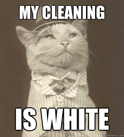 my cleaning lady  is white   Aristocat