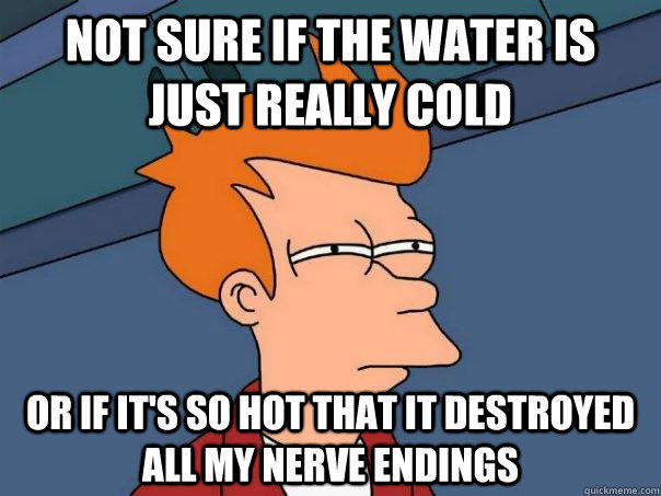 Not sure if the water is just really cold Or If it's so hot that it destroyed all my nerve endings  - Not sure if the water is just really cold Or If it's so hot that it destroyed all my nerve endings   Futurama Fry