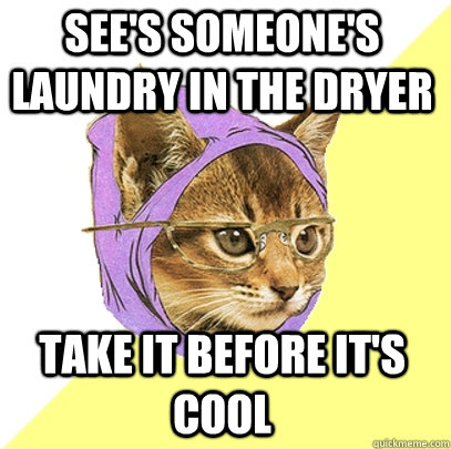 See's someone's laundry in the dryer Take it before it's cool - See's someone's laundry in the dryer Take it before it's cool  Hipster Kitty