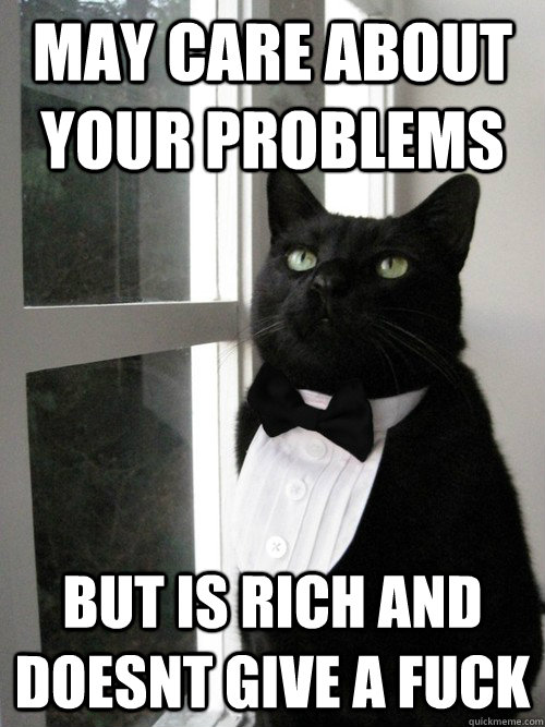 May Care about your problems But is rich and doesnt give a fuck  One Percent Cat