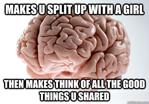 makes u split up with a girl then makes think of all the good things u shared  Scumbag Brain