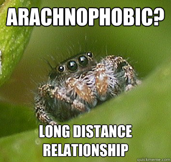 Arachnophobic? Long distance relationship - Arachnophobic? Long distance relationship  Misunderstood Spider