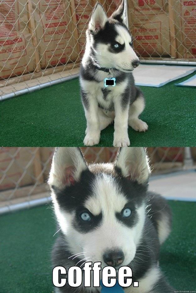  COFFEE. Insanity puppy