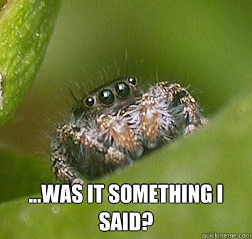  ...was it something I said?  Misunderstood Spider