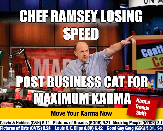 Chef Ramsey losing speed Post business cat for maximum karma - Chef Ramsey losing speed Post business cat for maximum karma  Mad Karma with Jim Cramer