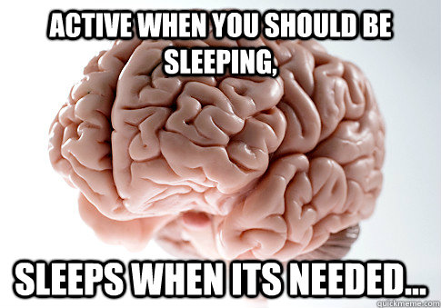 Active when you should be sleeping, Sleeps when its needed...  Scumbag Brain