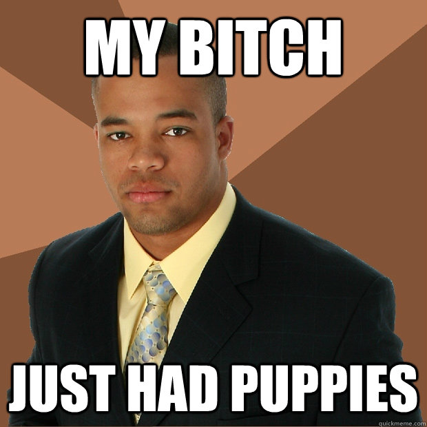 my bitch just had puppies  Successful Black Man