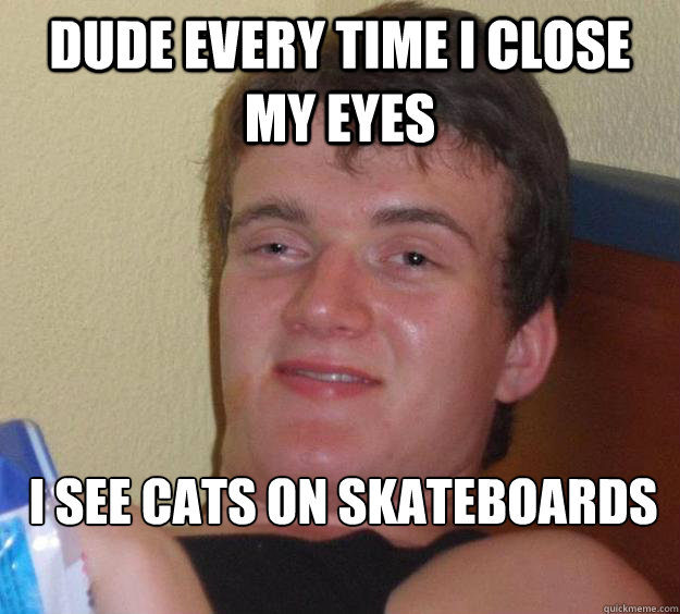 Dude every time i close my eyes I see cats on skateboards  10 Guy