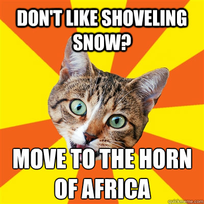 Don't like shoveling snow? Move to the horn of africa  Bad Advice Cat