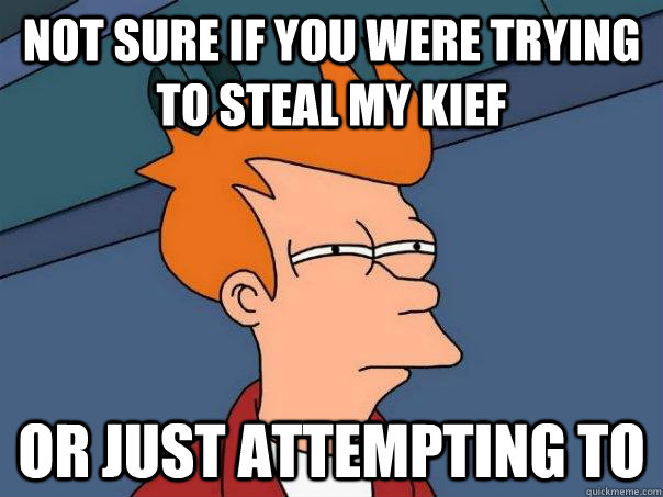 Not sure if you were trying to steal my kief or just attempting to - Not sure if you were trying to steal my kief or just attempting to  Futurama Fry