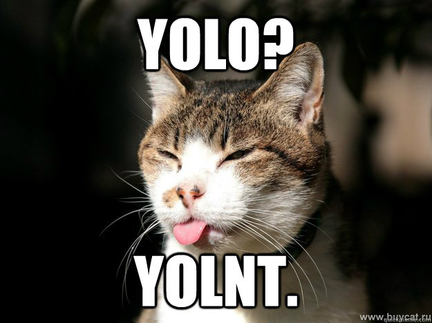 YOLO? YOLNT. - YOLO? YOLNT.  Yolo Cat