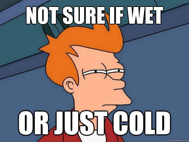 not sure if wet or just cold - not sure if wet or just cold  Futurama Fry