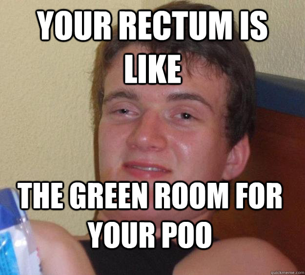 Your rectum is like The green room for your poo  10 Guy