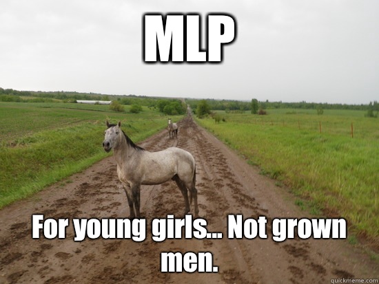 MLP For young girls... Not grown men.  