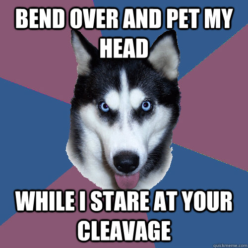 bend over and pet my head while i stare at your cleavage - bend over and pet my head while i stare at your cleavage  Creeper Canine